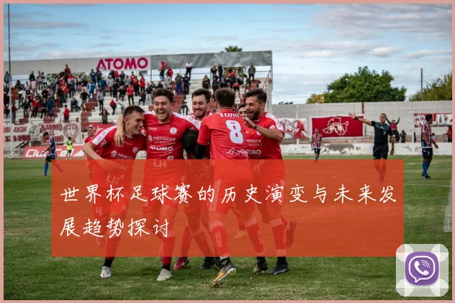 世界杯足球赛的历史演变与未来发展趋势探讨