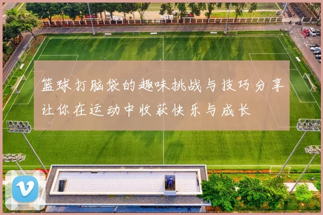 篮球打脑袋的趣味挑战与技巧分享让你在运动中收获快乐与成长