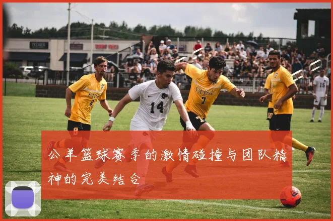 公羊篮球赛季的激情碰撞与团队精神的完美结合