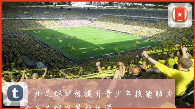 广州足球训练提升青少年技能助力未来足球发展新机遇