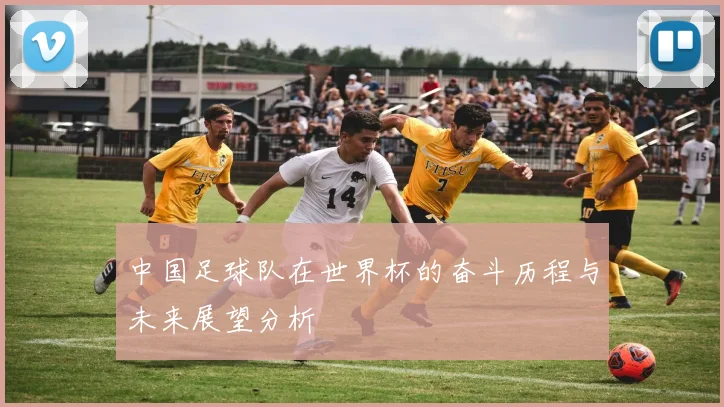 中国足球队在世界杯的奋斗历程与未来展望分析