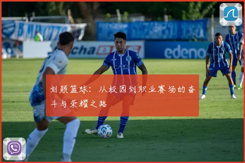 刘颖篮球：从校园到职业赛场的奋斗与荣耀之路