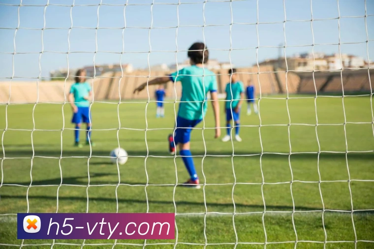 V体育官方网站平台生态图