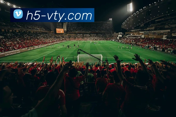 V体育官方网站APP 封面图